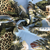 Chiffon Print Fabric 