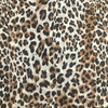 Chiffon Print Fabric 