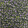 100DChiffon Print Fabric 