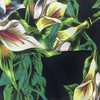 ustomized soft dress fabric 100% polyester printed plain chiffon fabric