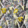 Chiffon Print Fabric 